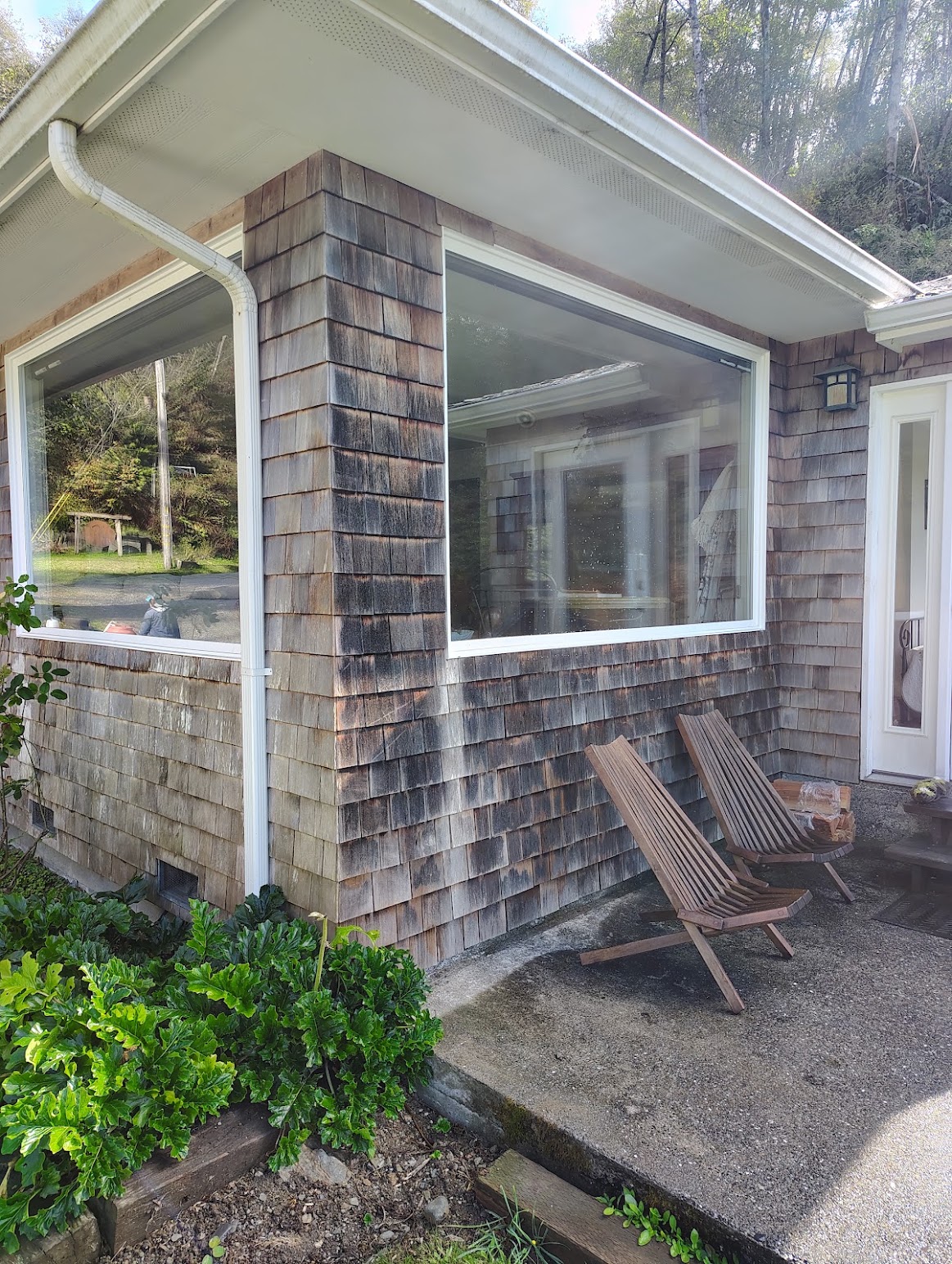 Cedar shake siding and white gutters covered in dark mildew and weathering